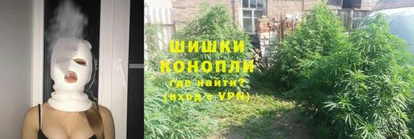 стафф Ростов