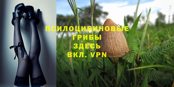spice Баксан