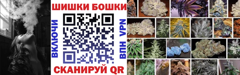Конопля сатива  Плавск 